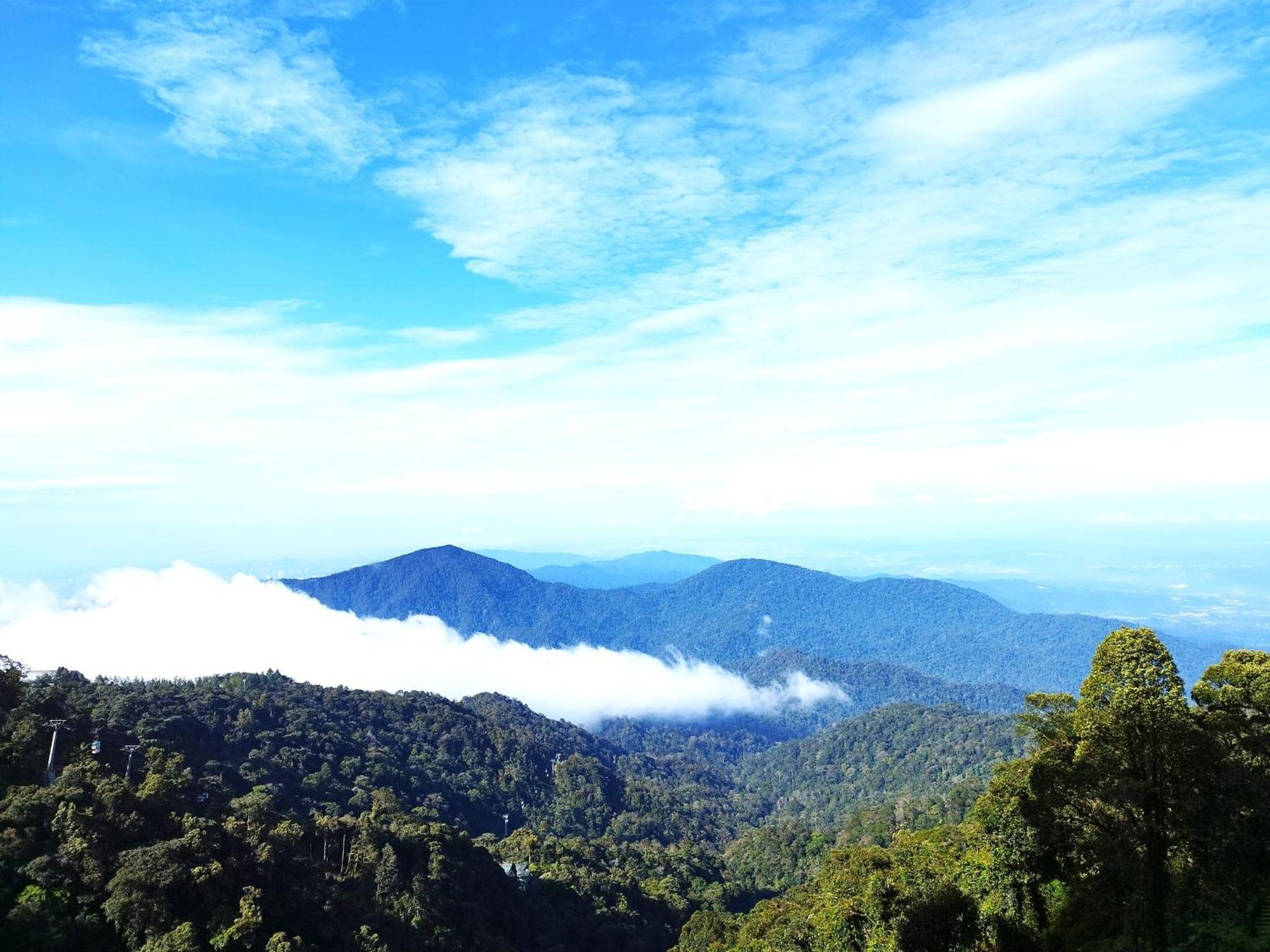 Genting Foggycoldinn1r1b At Ion Delemen *